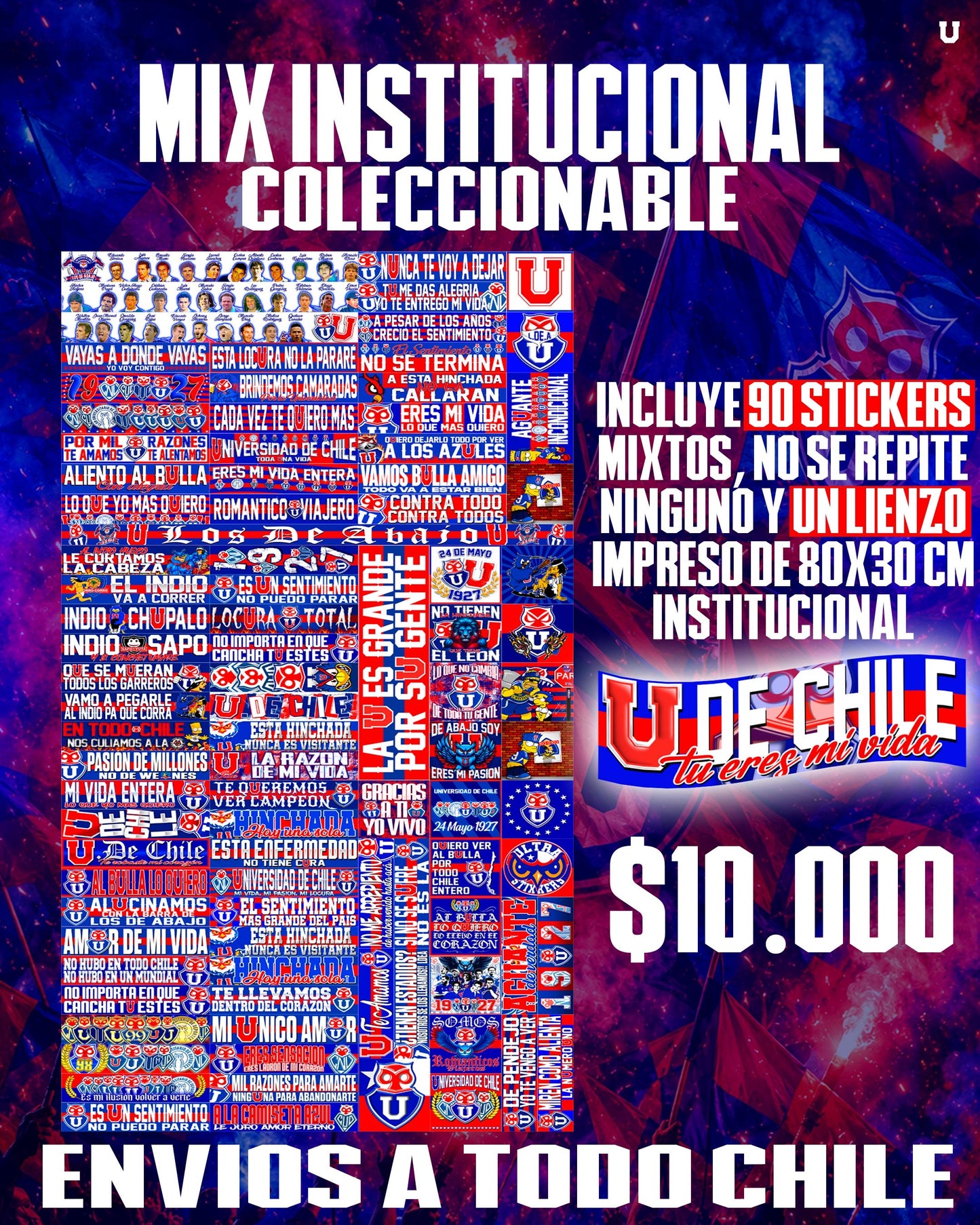 MIX INSTITUCIÓNAL + LIENZO
